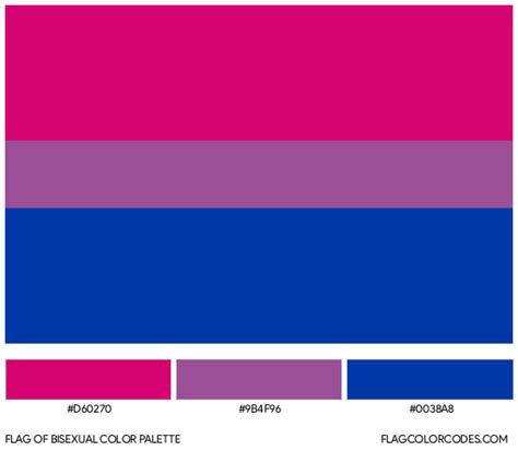 bisexual flag color codes|Understanding the meaning behind bisexual flag colors.